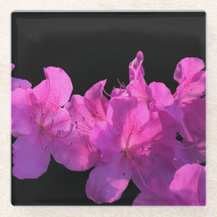 Rhododendron Glazen Onderzetter