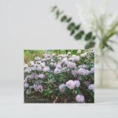 Rhododendron "Joyful Day" Briefkaart (Staand voorkant)