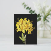 Rhododendron luteum (Pontic Azalea) Briefkaart (Staand voorkant)