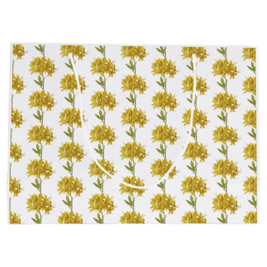 Rhododendron luteum (Pontic Azalea) Groot Cadeauzakje (Achterkant)