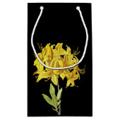 Rhododendron luteum (Pontic Azalea) Klein Cadeauzakje (Achterkant)