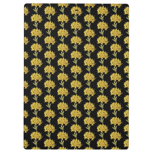 Rhododendron luteum (Pontic Azalea) Klembord (Achterkant)