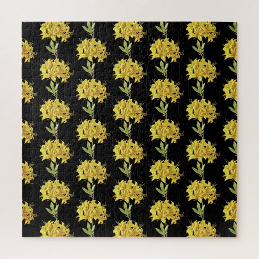 Rhododendron luteum (Pontic Azalea) Legpuzzel (Verticaal)