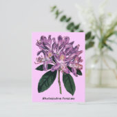 Rhododendron Ponticum Briefkaart (Staand voorkant)
