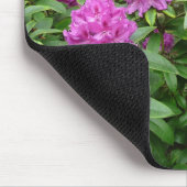 Rhododendron Ponticum Muismat (Hoek)