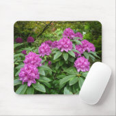 Rhododendron Ponticum Muismat (Met muis)