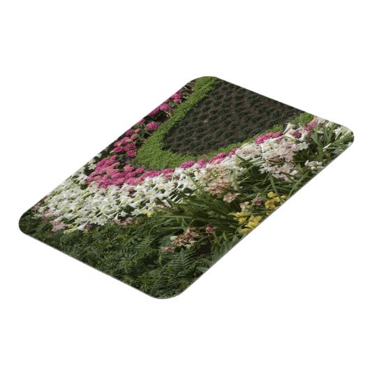 Rhododendron (Rhododendron catawbiense) Heath Magneet (Linkerzijde)