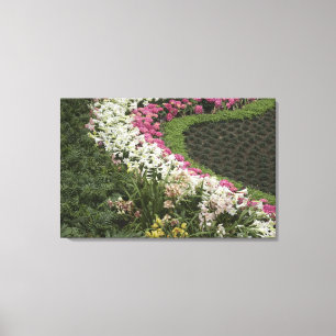 Rhododendron (Rhododendron catawbiense) Heide Canvas Afdruk
