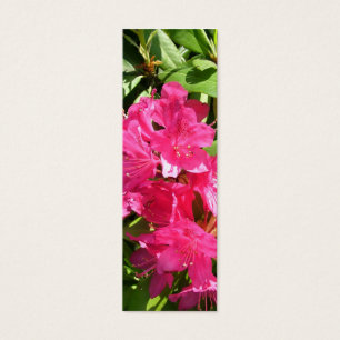 rhododendron rose et iris bleu