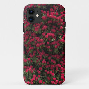 Rhododendron struik in volle bloei iPhone 11 hoesje