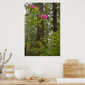 Rhododendrons die bloeien met kustmammoetbomen poster (Keuken)
