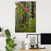 Rhododendrons die bloeien met kustmammoetbomen poster (Thuiskantoor)