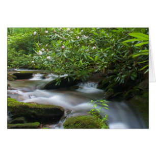 Rhododendrons op de Creek Card