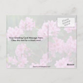 Rhododendrons, Quebec, Canada Briefkaart (Achterkant)