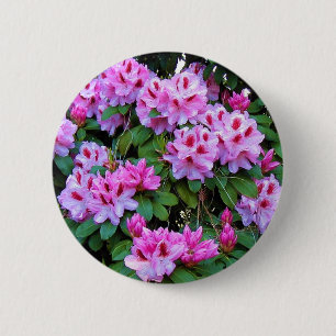 Rhododendrons Ronde Button 5,7 Cm