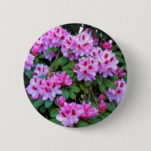 Rhododendrons Ronde Button 5,7 Cm (Voorkant)