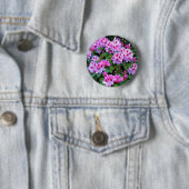 Rhododendrons Ronde Button 5,7 Cm (In situ)