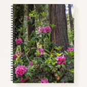 Rhododendrons roses dans un cahier floral de forêt (Devant)