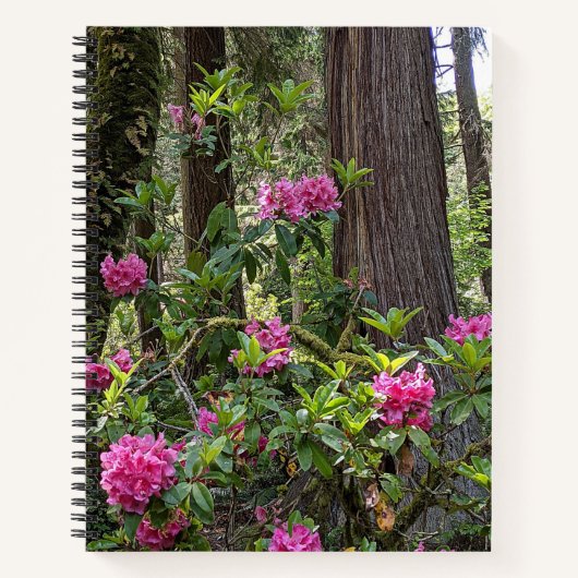 Rhododendrons roses dans un Carnet forestier (Devant)