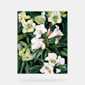 Rhododendrons uit Noord-India Acryl Bord (Voorkant)