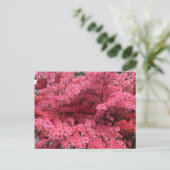 Rhododendrons van Halifax Nova Scotia Briefkaart (Staand voorkant)