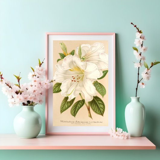 Rhododendrum Sesterianum Floral Art Poster
