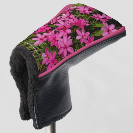 Rhodohypoxis / Red Star / Rosy Posy Golfheadcover (3/4 voorkant)