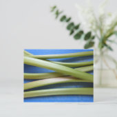 Rhubarb Briefkaart (Staand voorkant)