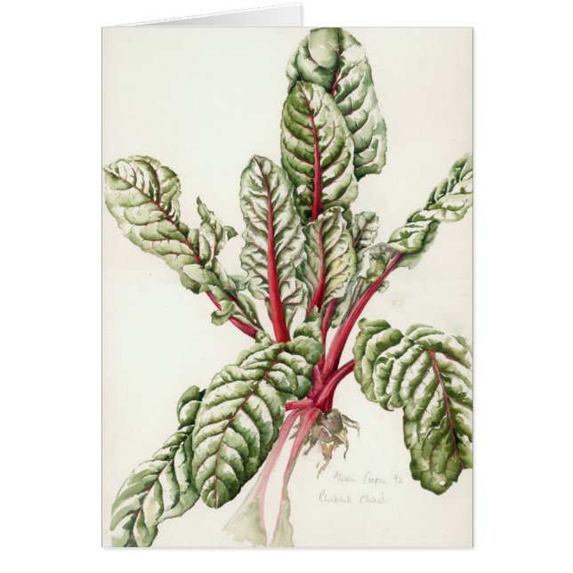Rhubarb Chard 1992 (Voorkant)
