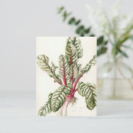 Rhubarb Chard Briefkaart (Staand voorkant)