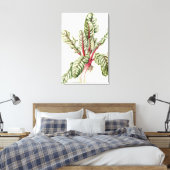 Rhubarb Chard Canvas Afdruk (Insitu (Slaapkamer))