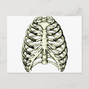 Rib Cage Bronze Briefkaart