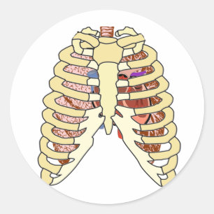 Rib Cage Lungs en hart Ronde Sticker
