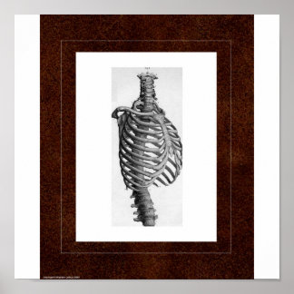 Rib Spirit House Poster