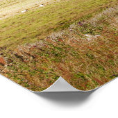 Ribblehead Viaduct Poster/Afdruk Poster (Hoek)