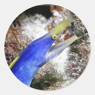 Ribbon Eel Ronde Sticker