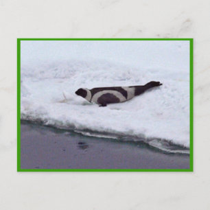 Ribbon Seal Briefkaart