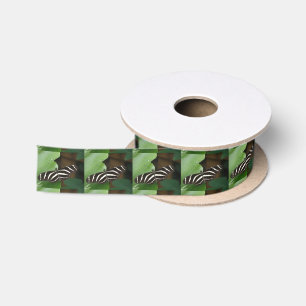 Ribbon voor Zebra langwerpige vlinder Lint