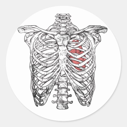  ribcage en hartanatomie Halloween Ronde Sticker (Voorkant)