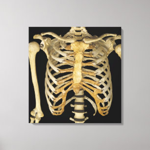 Ribkooi Canvas Afdruk