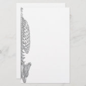 Ribkooien Briefpapier (Voorkant / Achterkant)