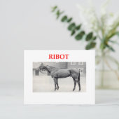 ribot briefkaart (Staand voorkant)