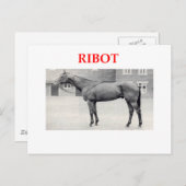ribot briefkaart (Voorkant / Achterkant)