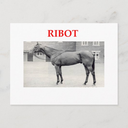 ribot briefkaart (Voorkant)