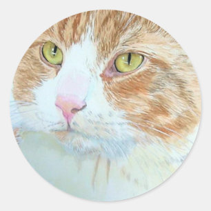 Ricane les autocollants ronds de chat