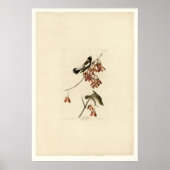 Rice Bird Poster (Voorkant)