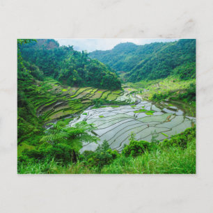 Rice terrace landschap, Filipijnen Briefkaart