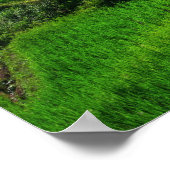 Rice terraces Chiang Mai, thailand Poster (Hoek)