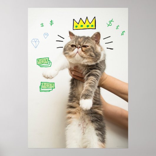 Rich King Cat Poster (Voorkant)