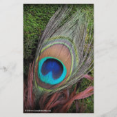 Rich Peacock Feather met Green Moss Flyer (Achterkant)